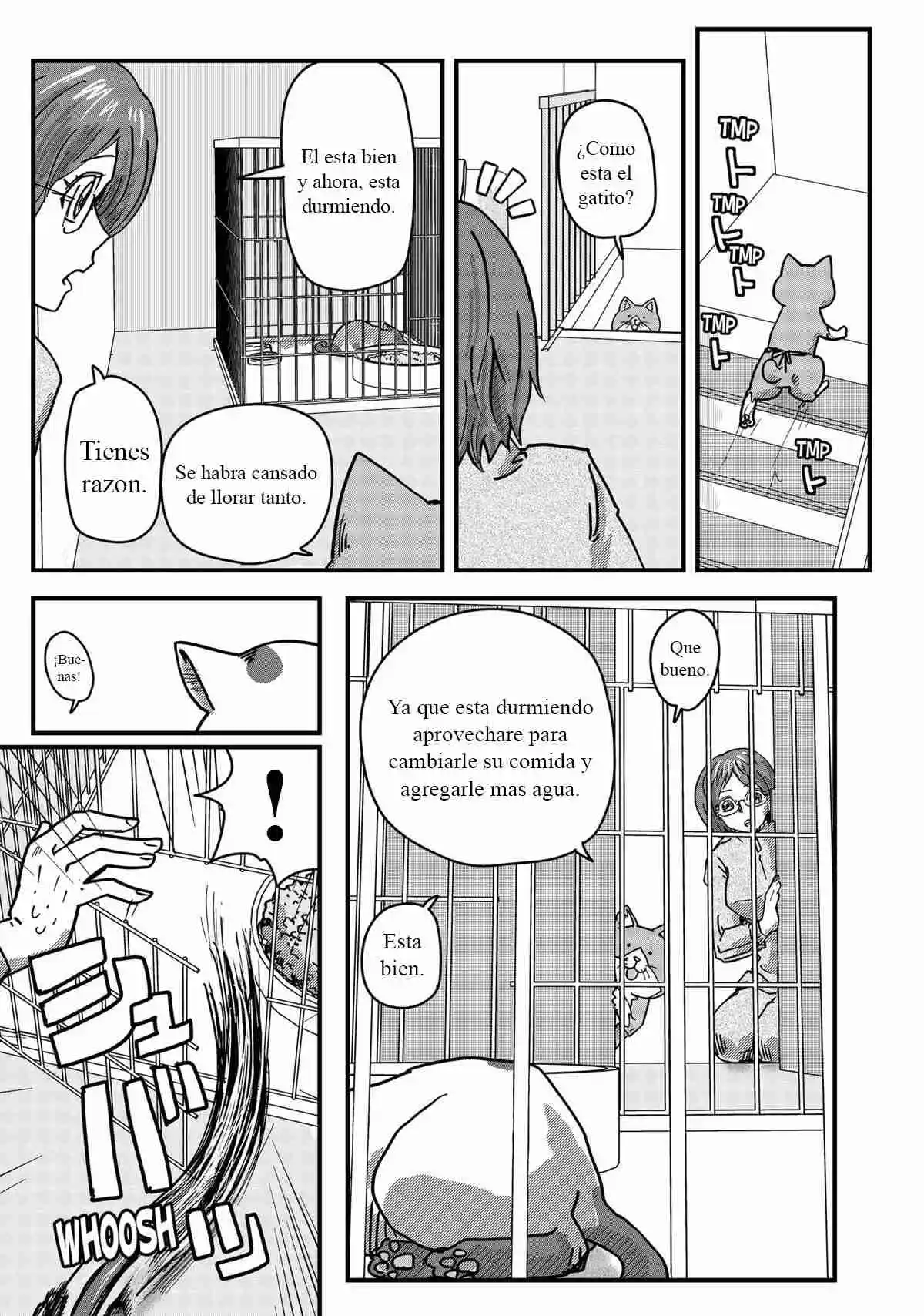 Ramen De Gato Rojo - Capítulo 35 - Página 12 - LectorTMOo