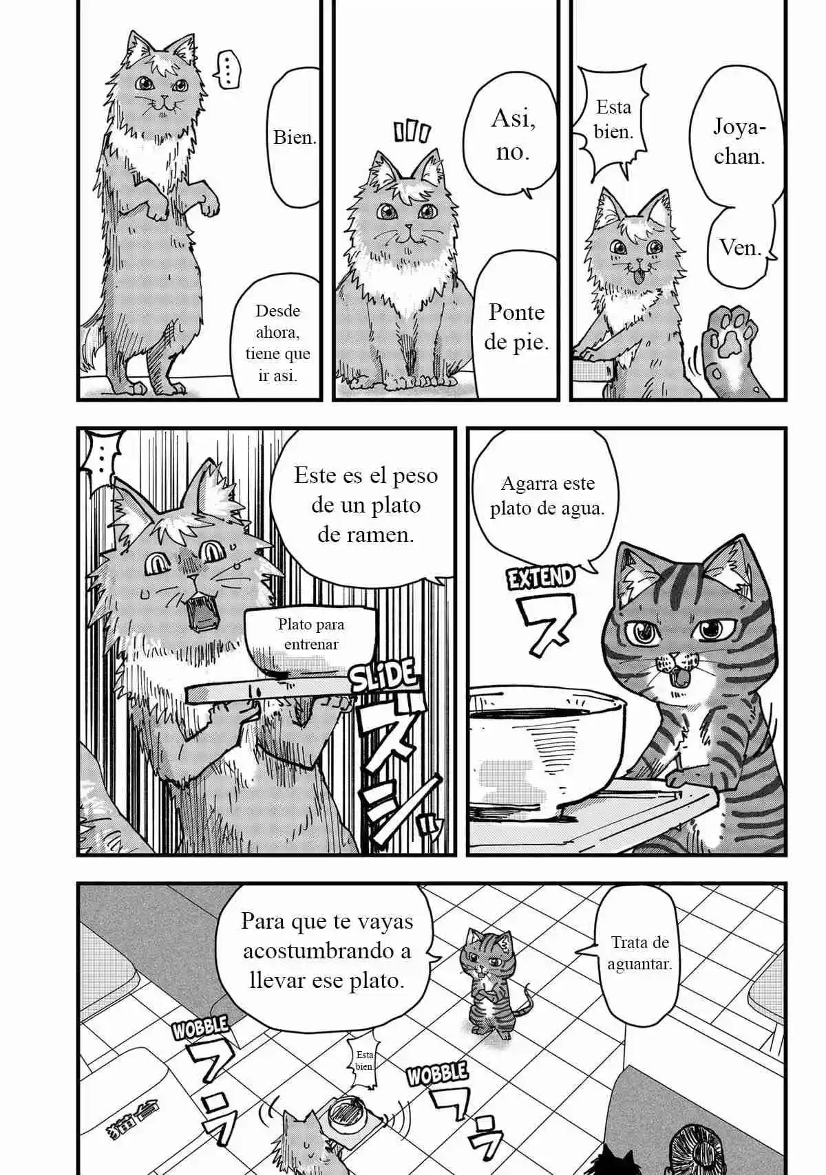 Ramen De Gato Rojo - Capítulo 41 - Página 15 - LectorTMOo