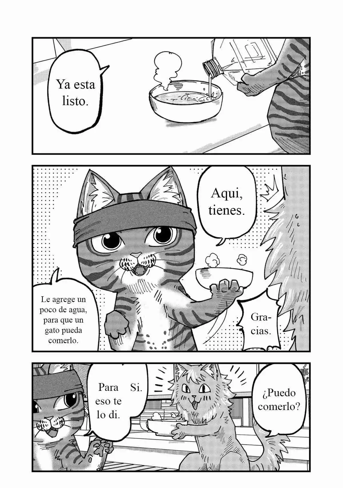 Ramen De Gato Rojo - Capítulo 53 - Página 8 - LectorTMOo