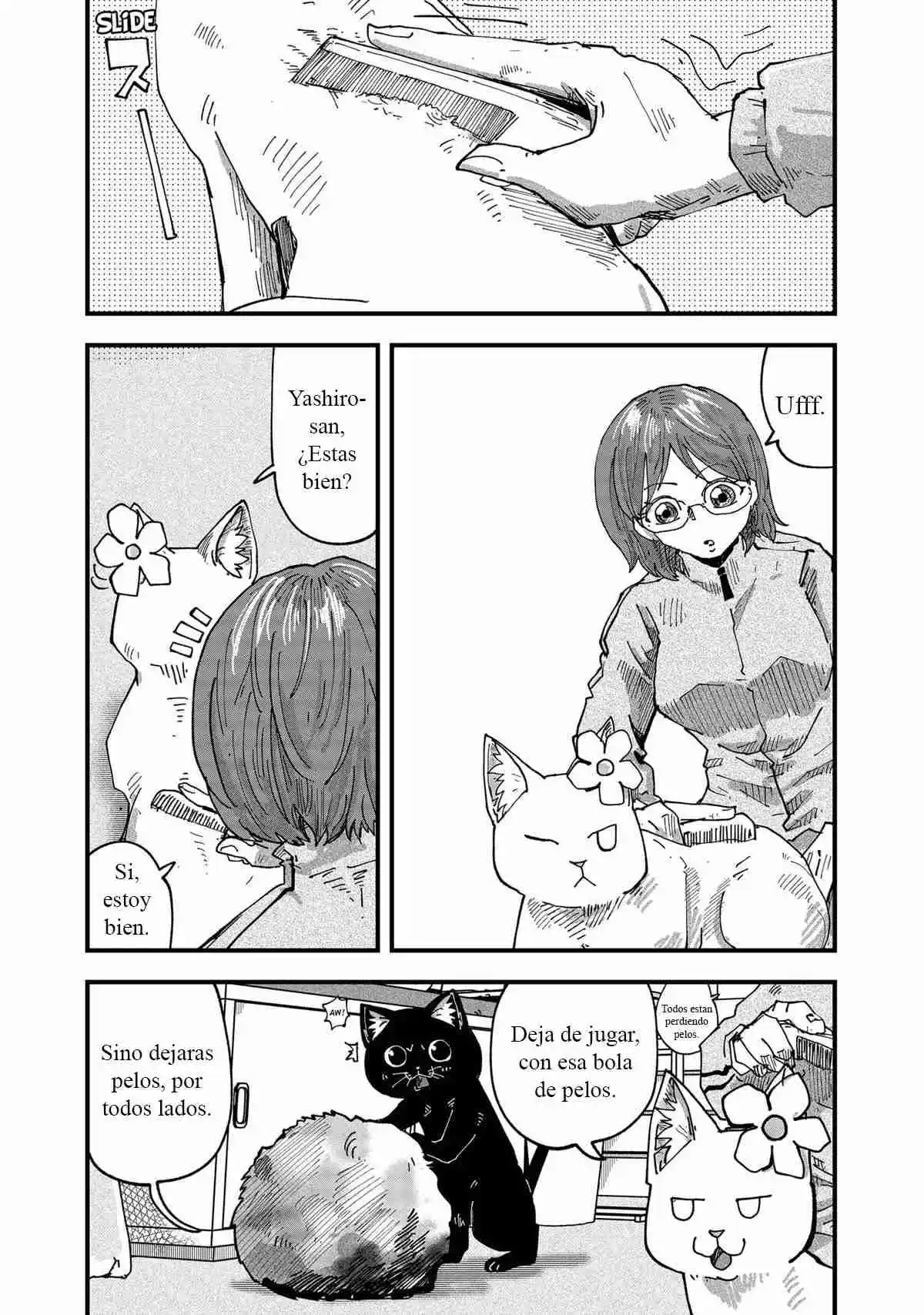Ramen De Gato Rojo - Capítulo 54 - Página 3 - LectorTMOo