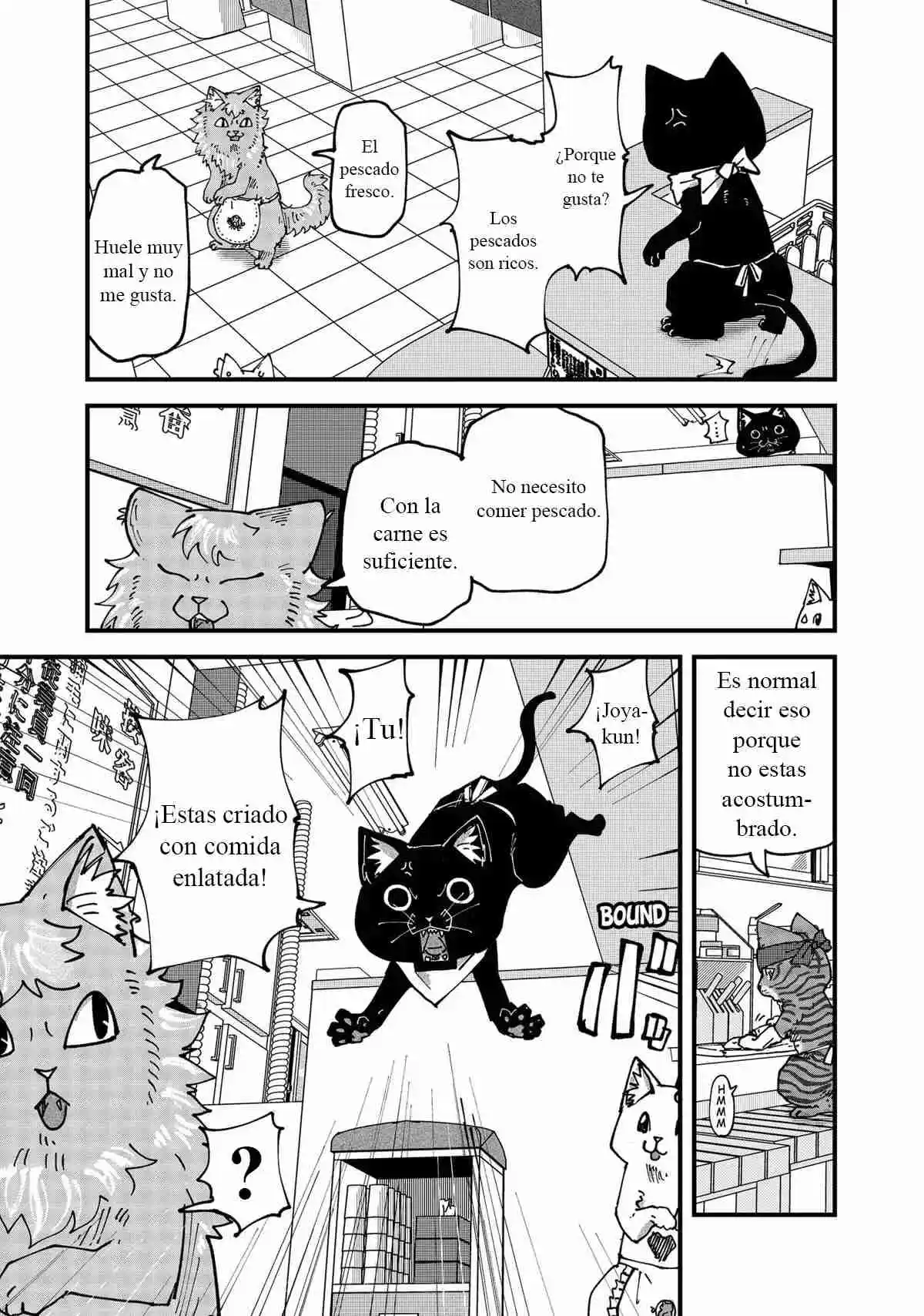 Ramen De Gato Rojo - Capítulo 62 - Página 8 - LectorTMOo