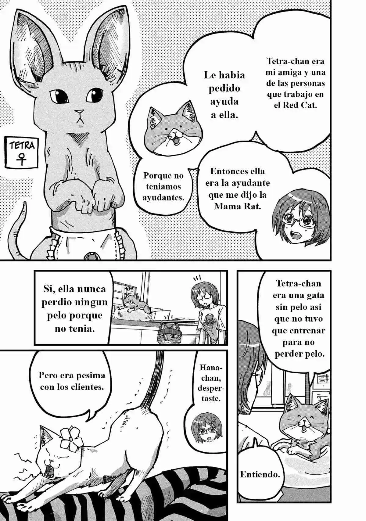 Ramen De Gato Rojo - Capítulo 68 - Página 6 - LectorTMOo