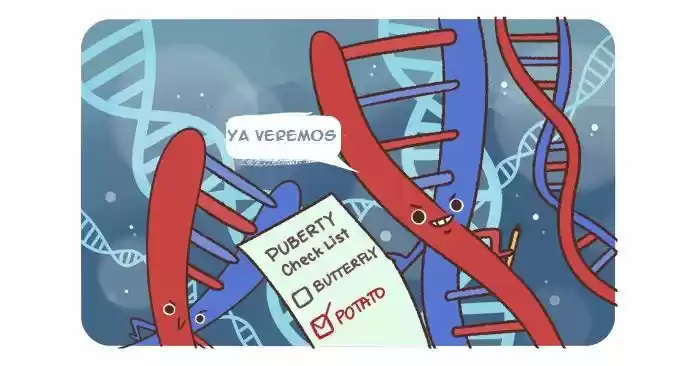 Randomphilia - Capítulo 13 - Página 5 - LectorTMOo