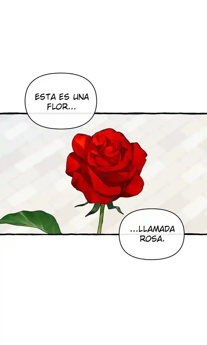 Érase Una Vez - Capítulo 28 - Página 37 - LectorTMOo
