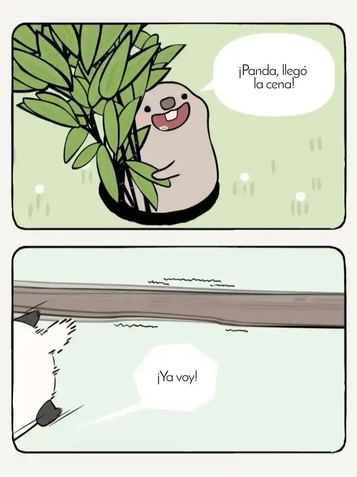 Rata Y Panda - Capítulo 1 - Página 5 - LectorTMOo