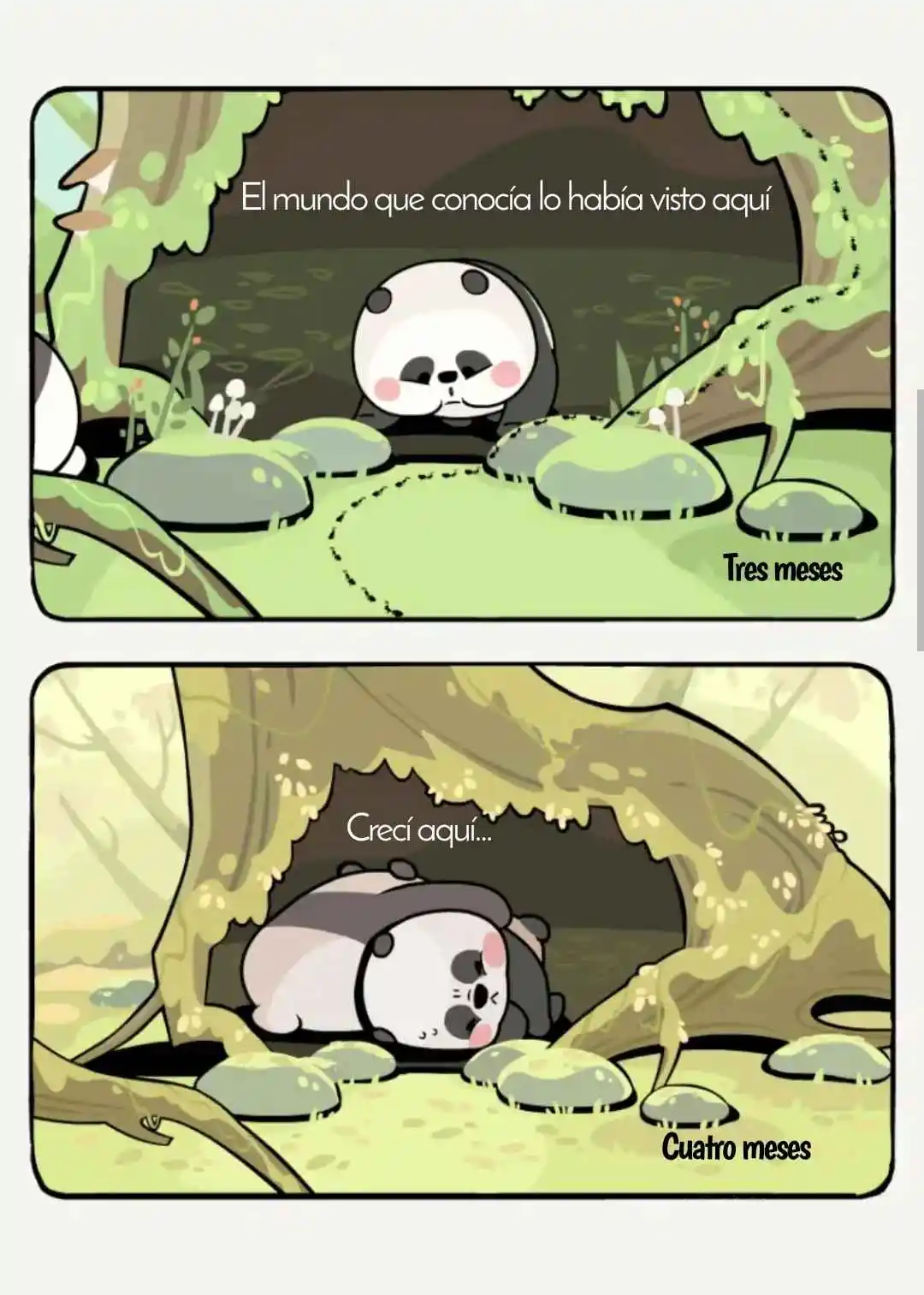Rata Y Panda - Capítulo 11 - Página 5 - LectorTMOo