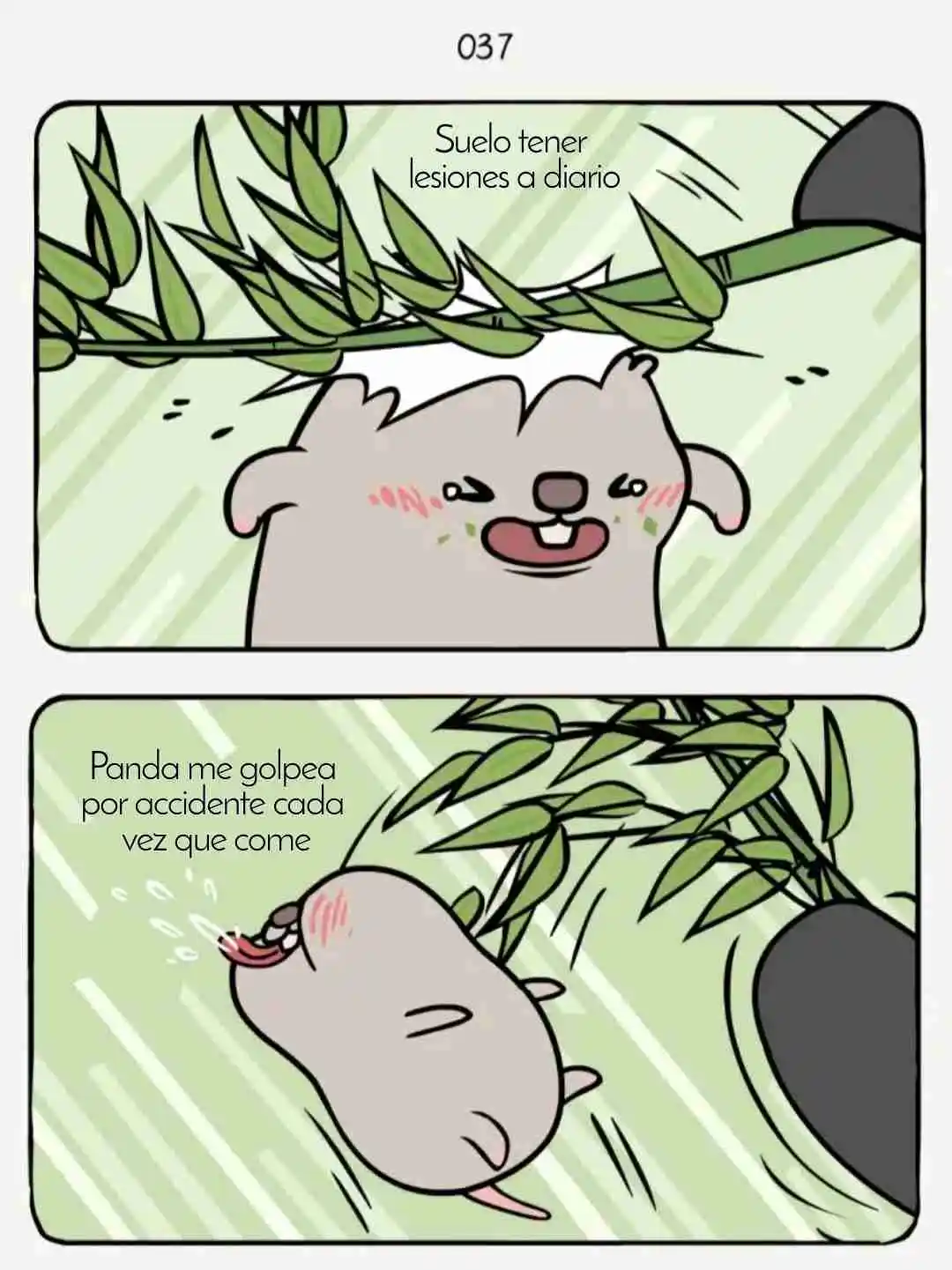 Rata Y Panda - Capítulo 13 - Página 4 - LectorTMOo