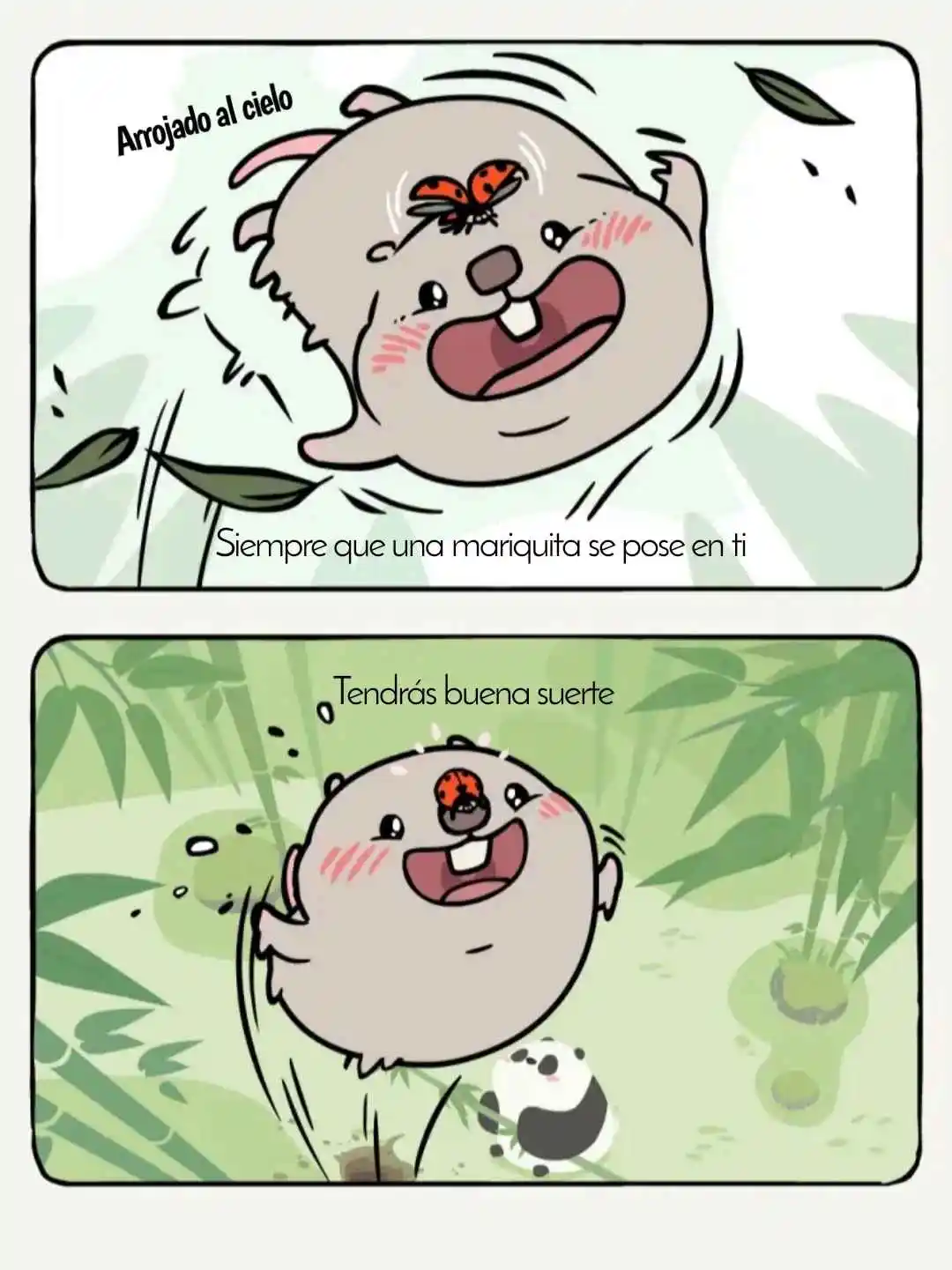 Rata Y Panda - Capítulo 16 - Página 8 - LectorTMOo