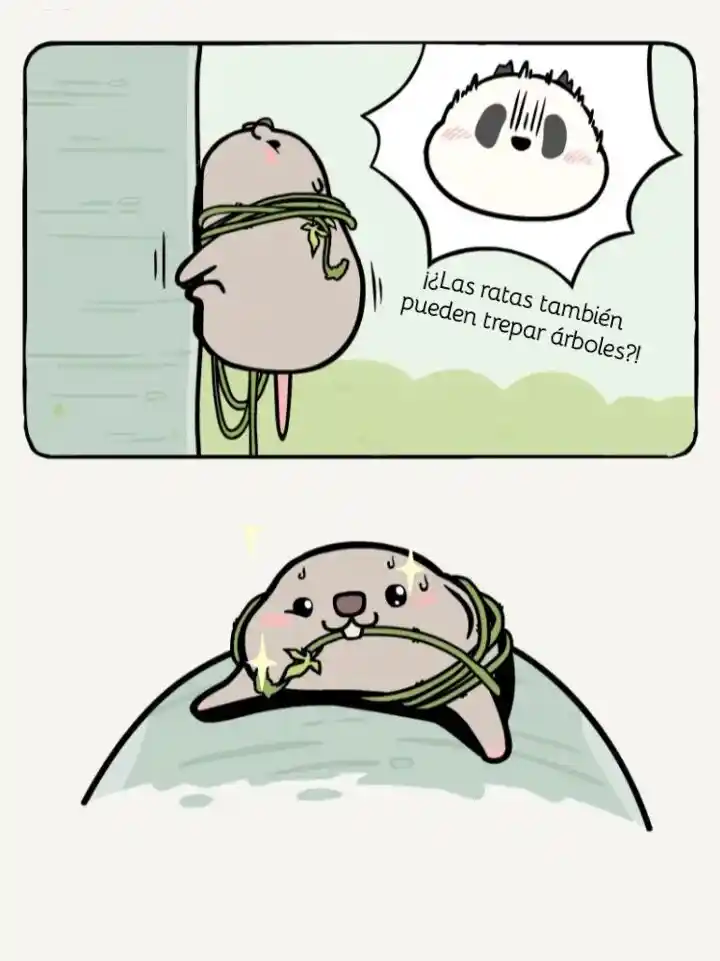 Rata Y Panda - Capítulo 8 - Página 8 - LectorTMOo