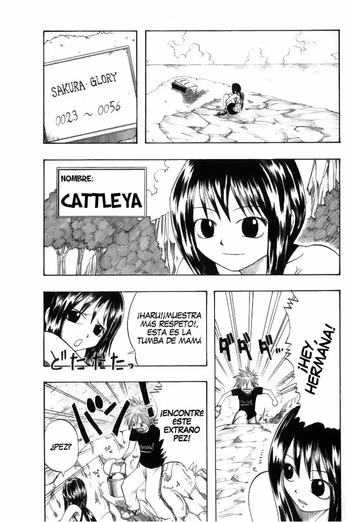 Rave Master - Capítulo 1 - Página 11 - LectorTMOo