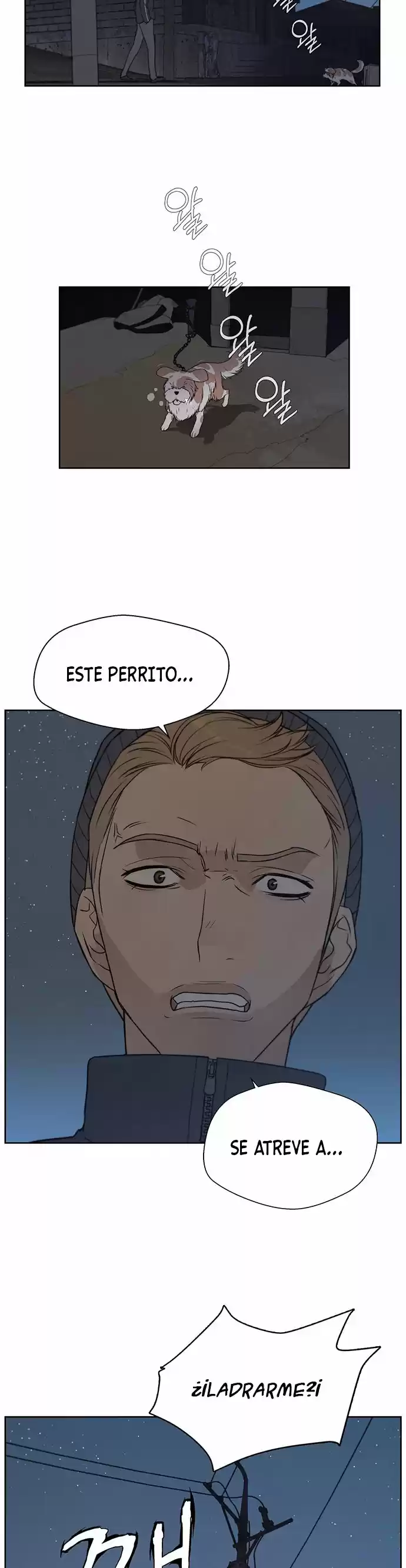 Real Man - Capítulo 7 - Página 12 - LectorTMOo