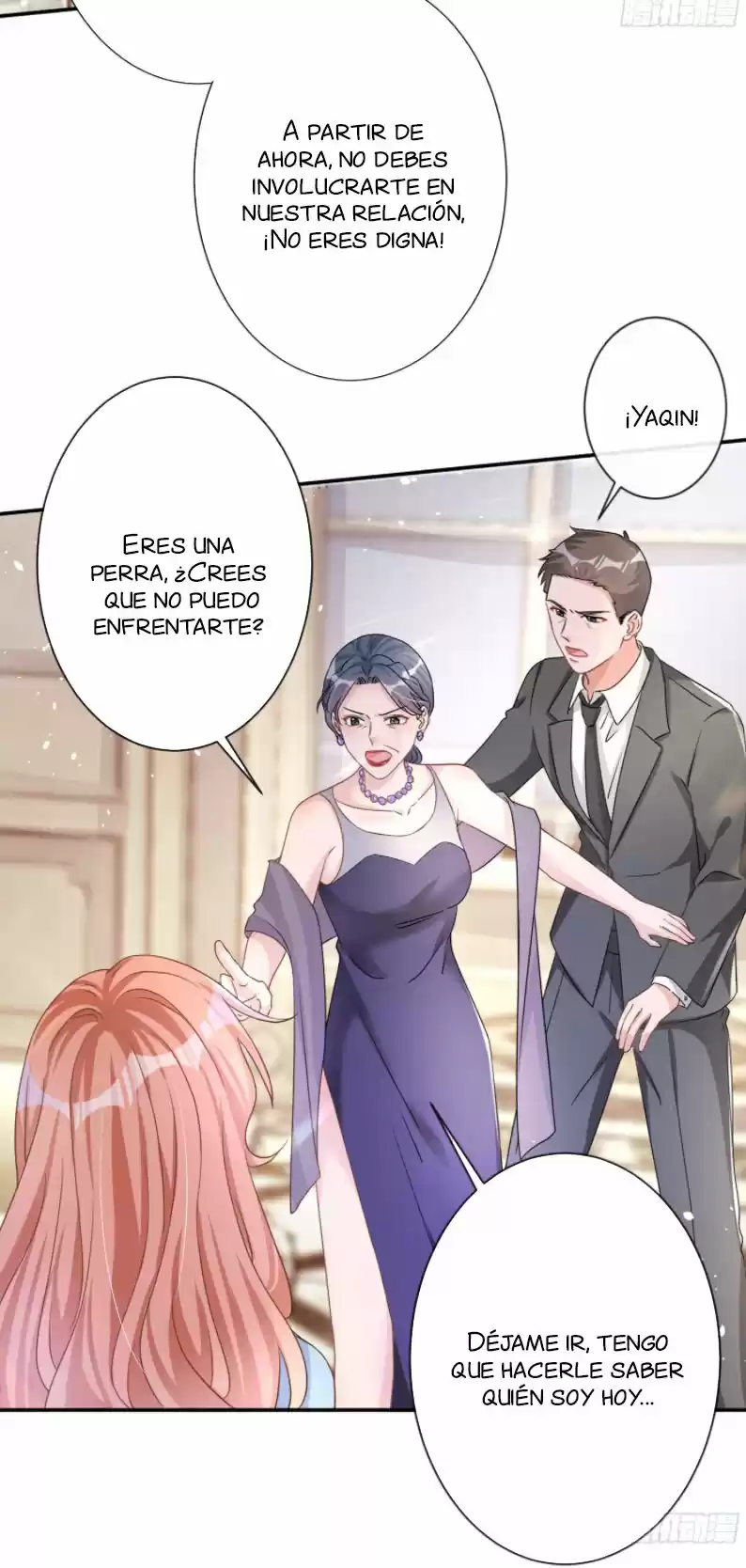¿Rechazaste Al Sr. Lu? - Capítulo 25 - Página 14 - LectorTMOo