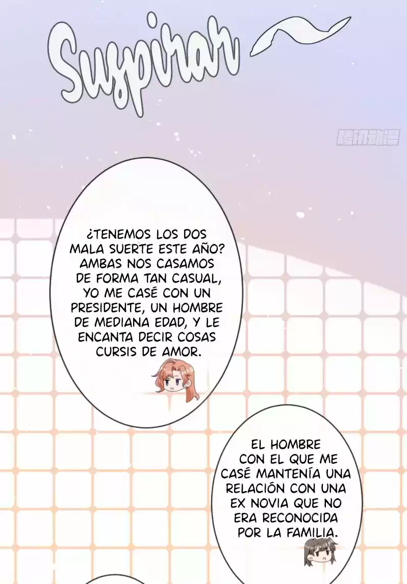 ¿Rechazaste Al Sr. Lu? - Capítulo 33 - Página 18 - LectorTMOo