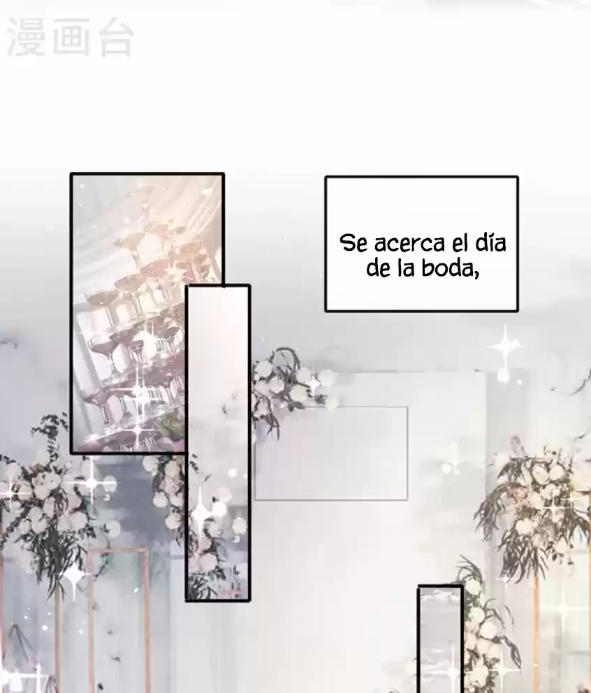 ¿Rechazaste Al Sr. Lu? - Capítulo 39 - Página 26 - LectorTMOo