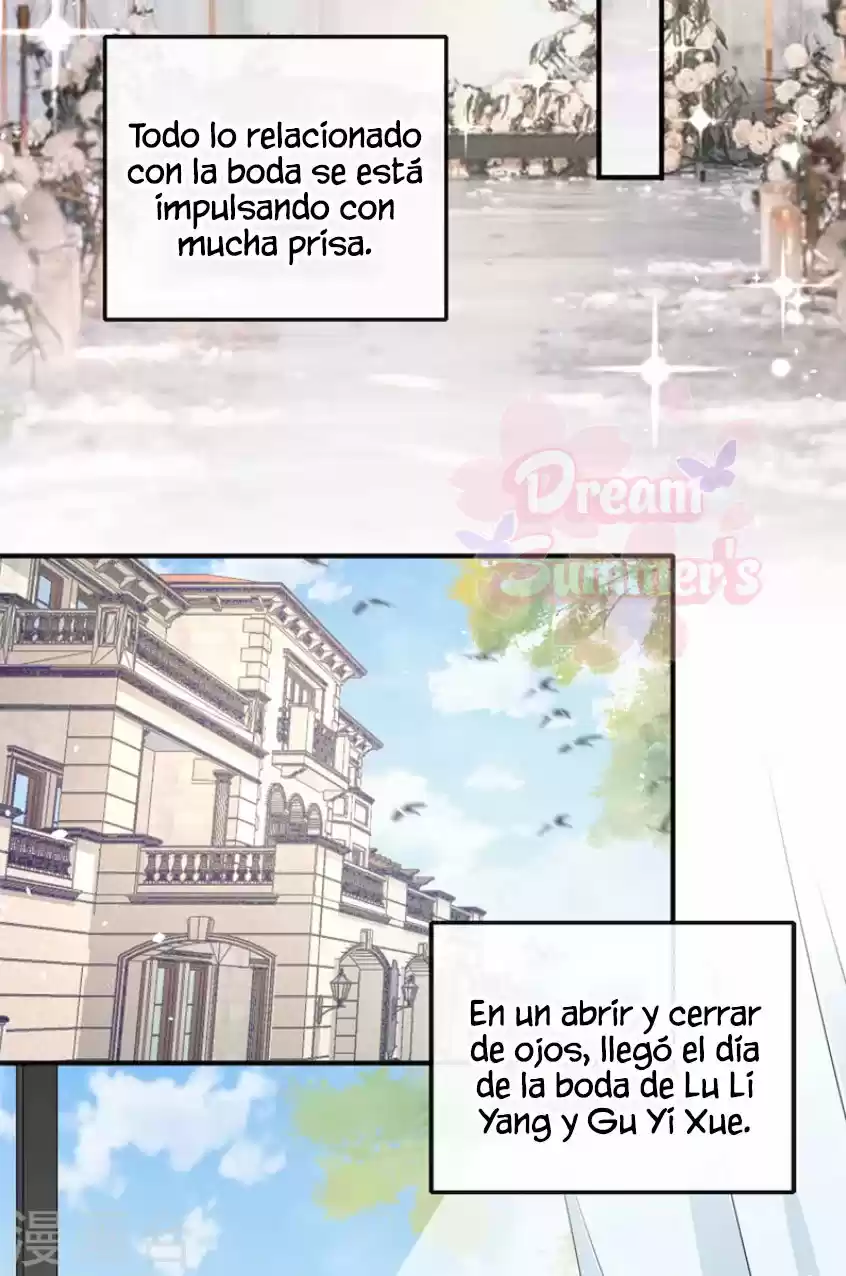 ¿Rechazaste Al Sr. Lu? - Capítulo 39 - Página 27 - LectorTMOo