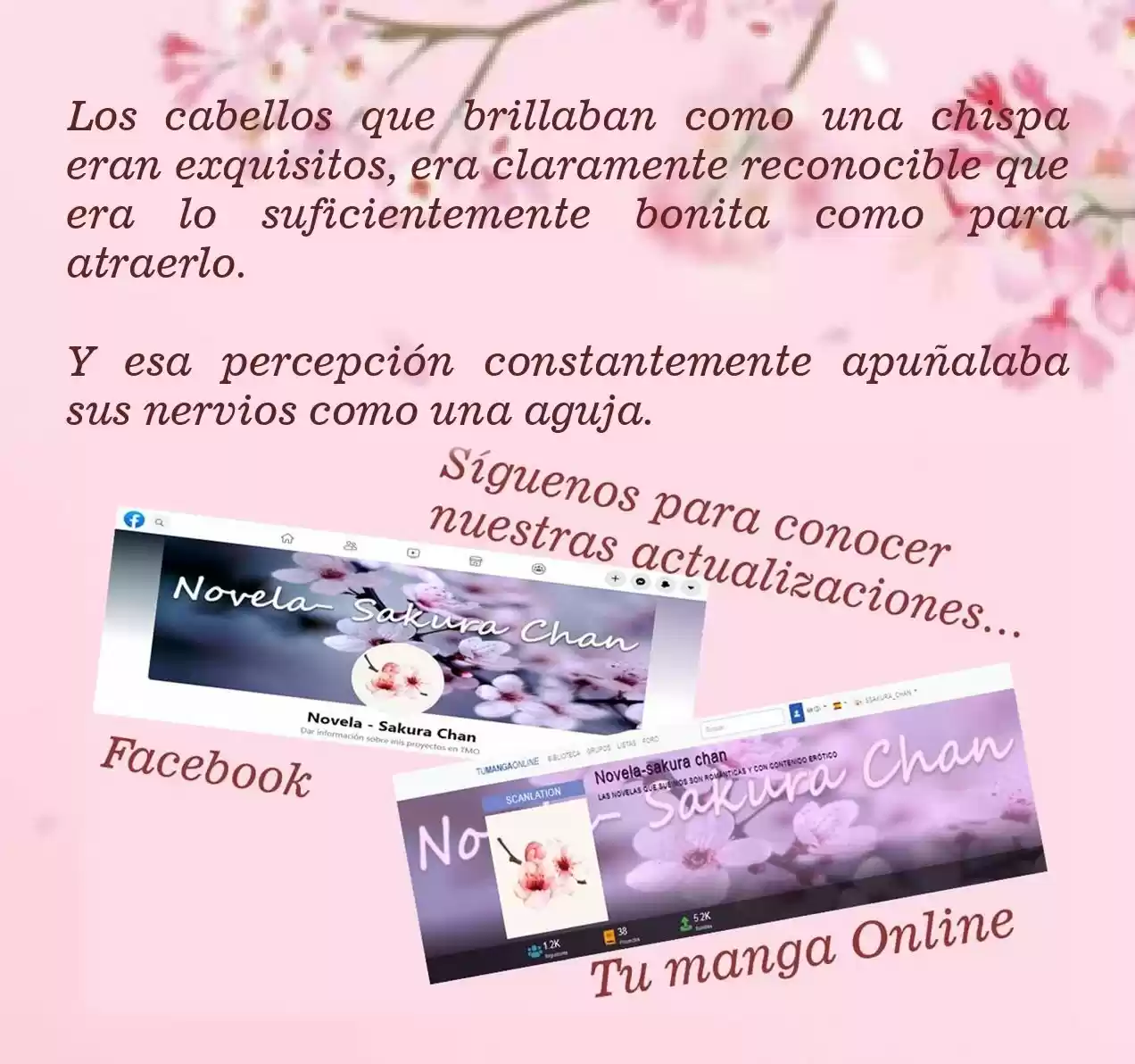 RIFTAN CALYPSE (Novela) - Capítulo 27 - Página 12 - LectorTMOo