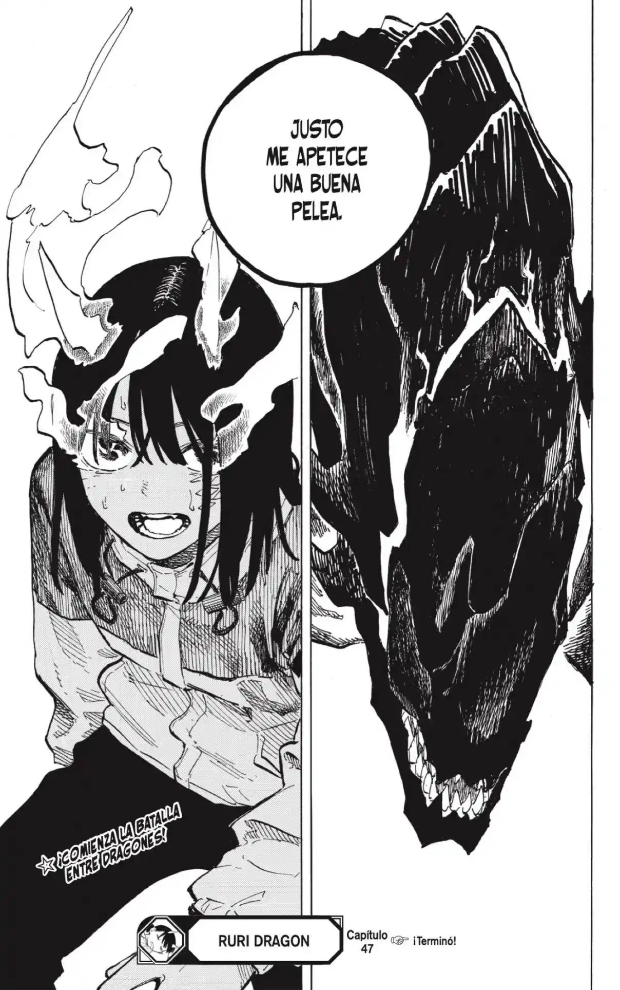 Ruri Dragon - Capítulo 47 - Página 19 - LectorTMOo