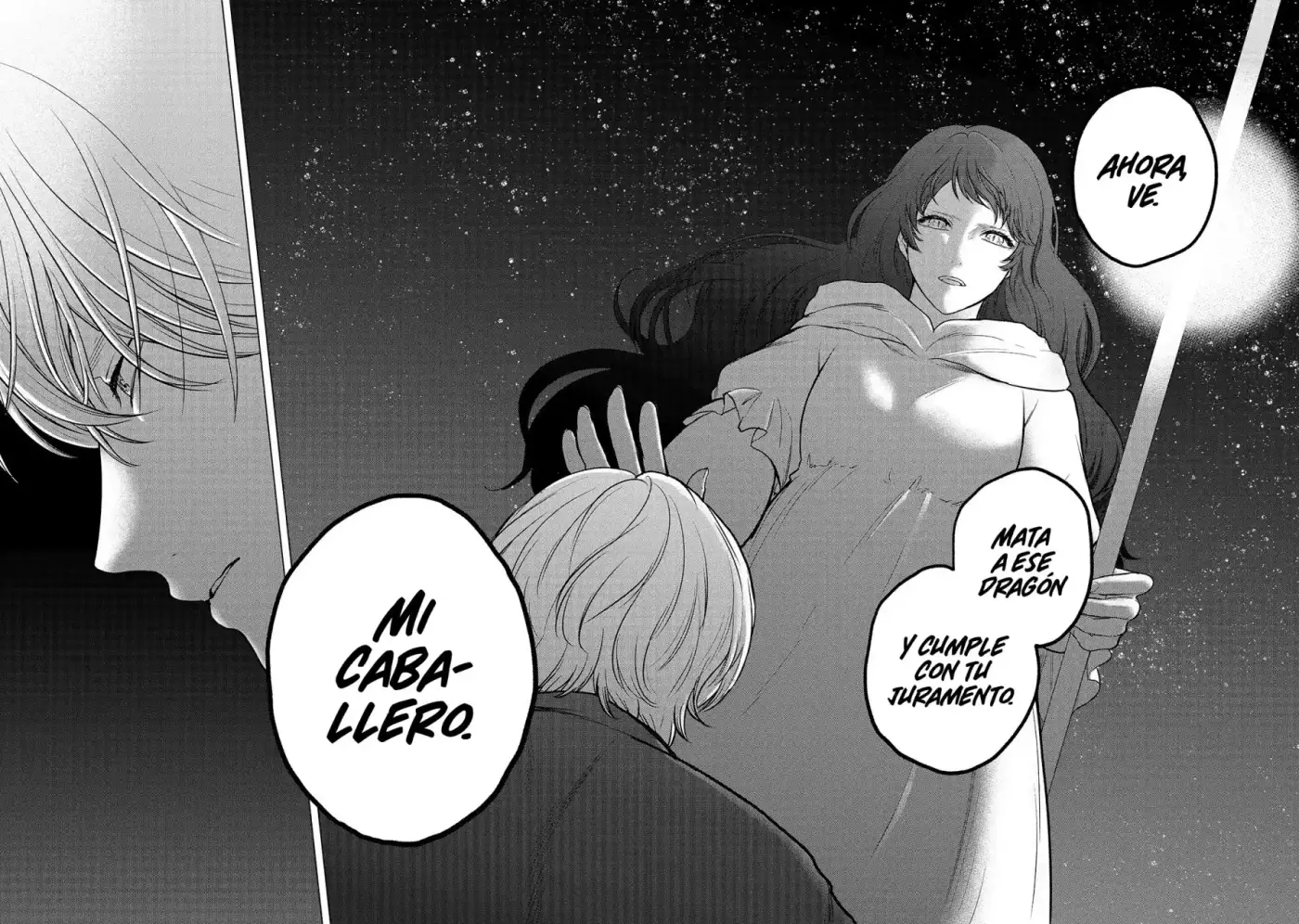 Saihate No Paladin - Capítulo 39 - Página 26 - LectorTMOo