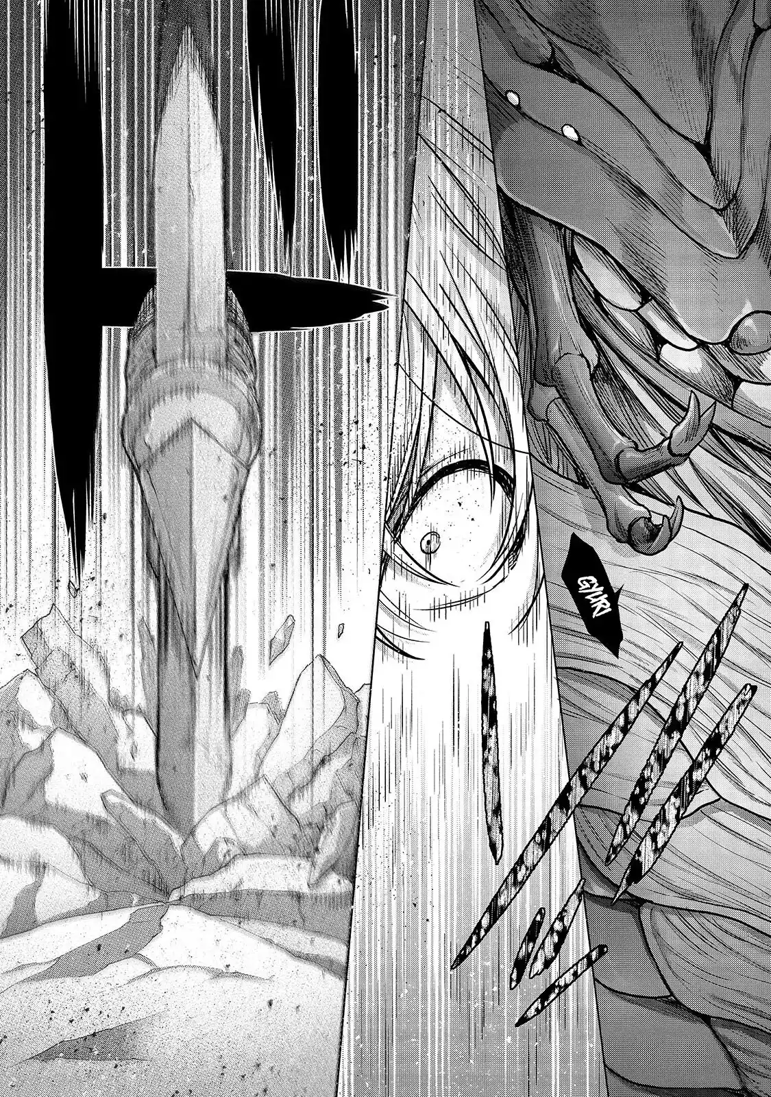 Saihate No Paladin - Capítulo 52 - Página 17 - LectorTMOo