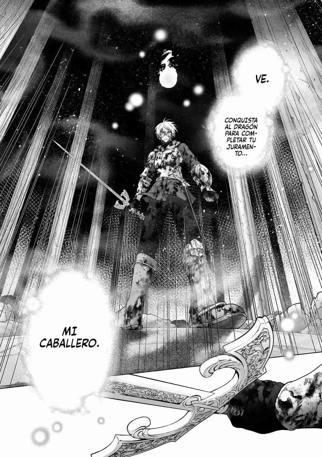 Saihate No Paladin - Capítulo 61 - Página 37 - LectorTMOo