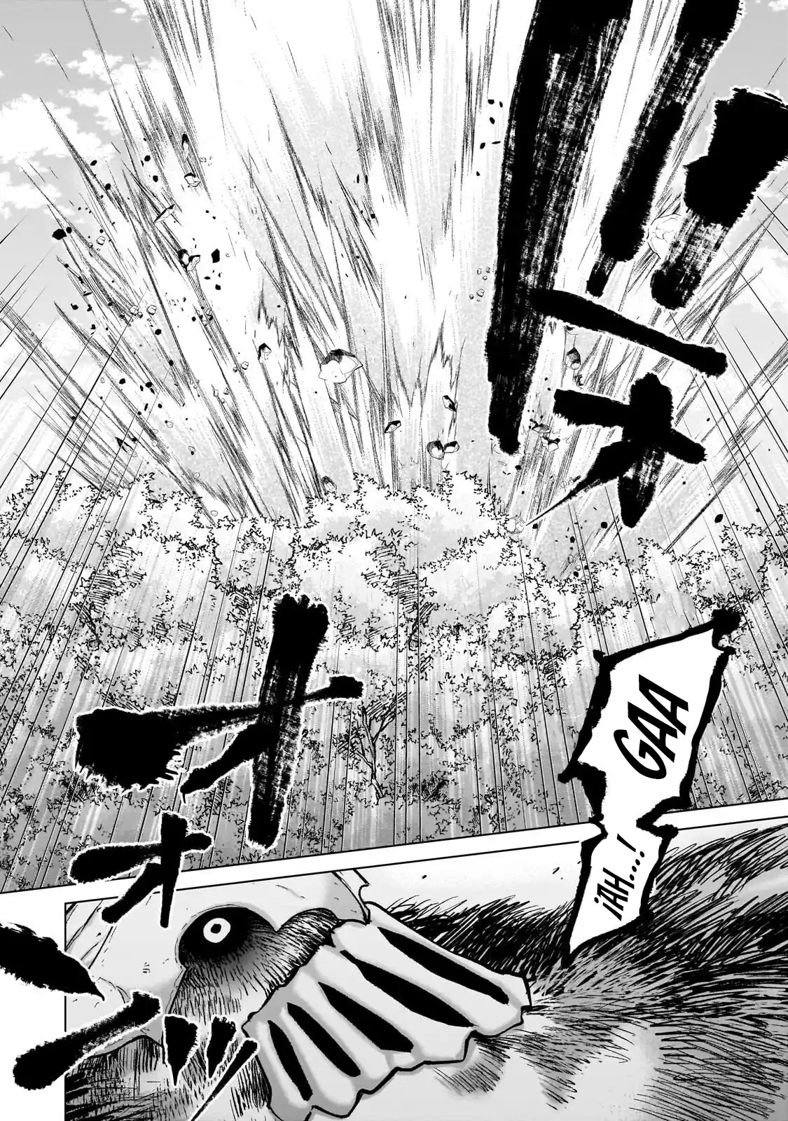Saihate No Paladin capítulo 74 página 17