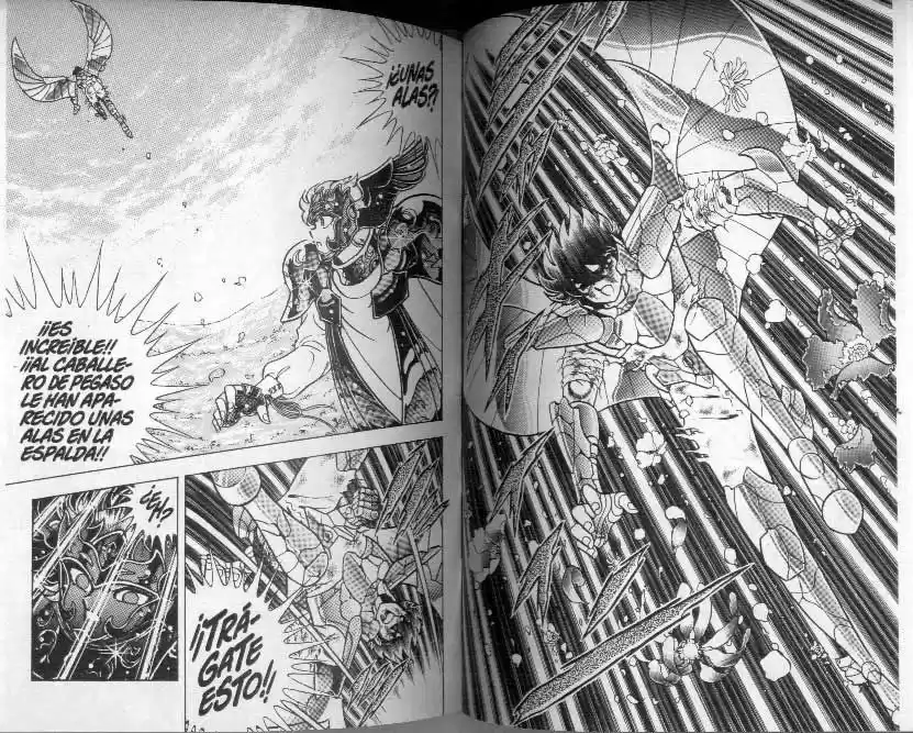 Saint Seiya capítulo 103 página 14