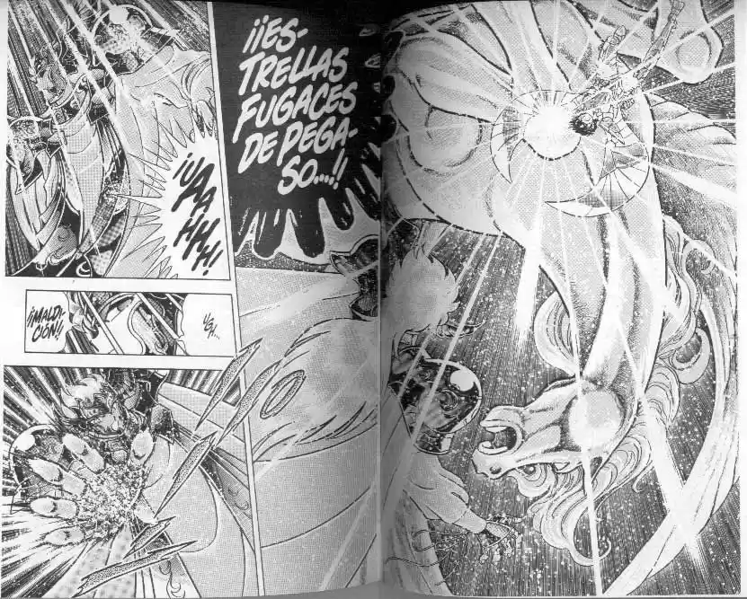 Saint Seiya capítulo 103 página 15