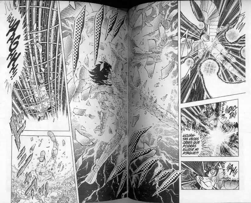 Saint Seiya capítulo 103 página 17