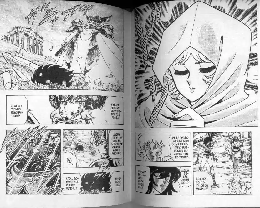 Saint Seiya capítulo 103 página 19