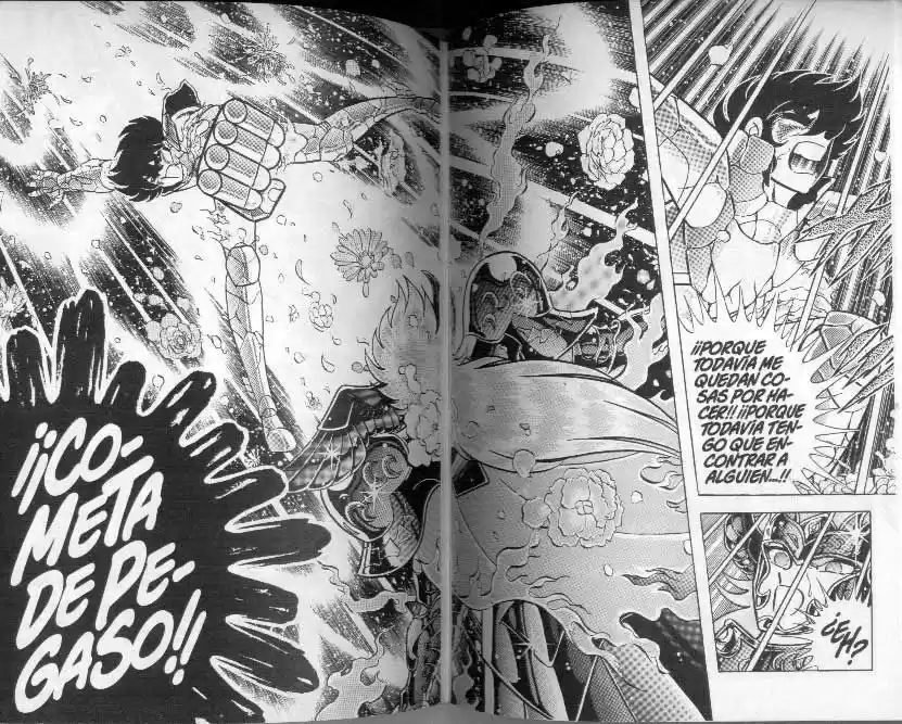 Saint Seiya capítulo 103 página 20
