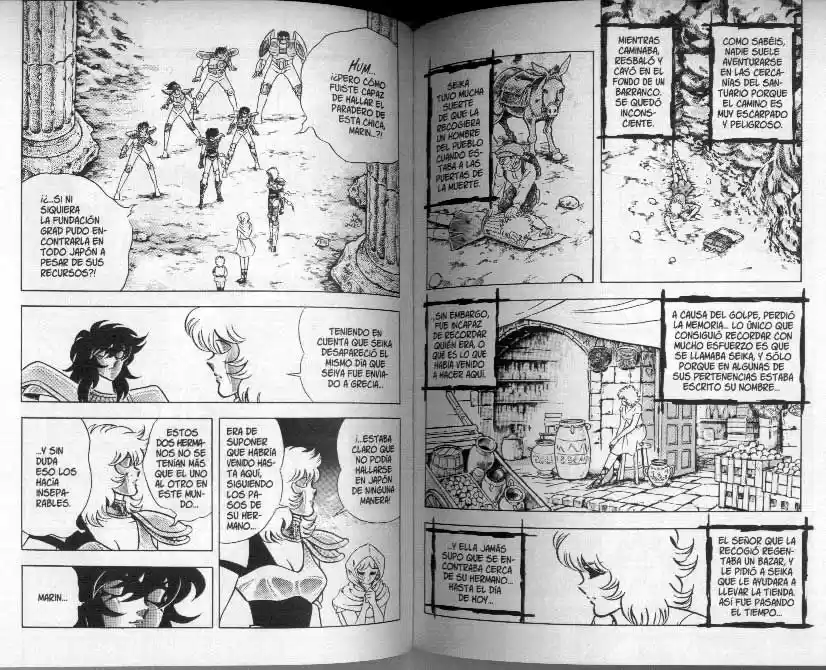 Saint Seiya capítulo 104 página 6