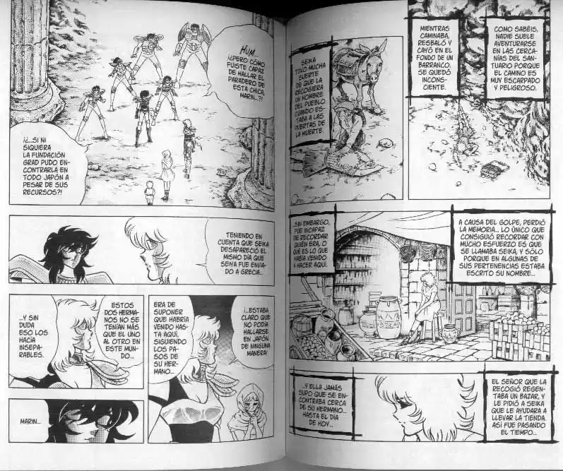 Saint Seiya capítulo 104 página 7