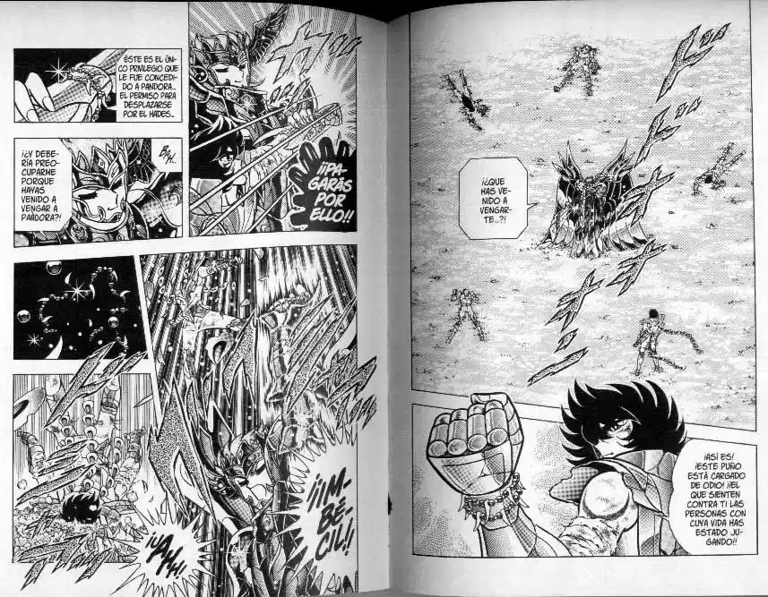 Saint Seiya capítulo 105 página 14