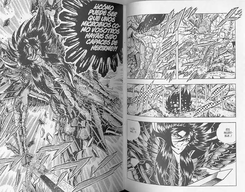 Saint Seiya capítulo 110 página 15