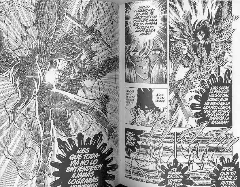 Saint Seiya capítulo 110 página 17