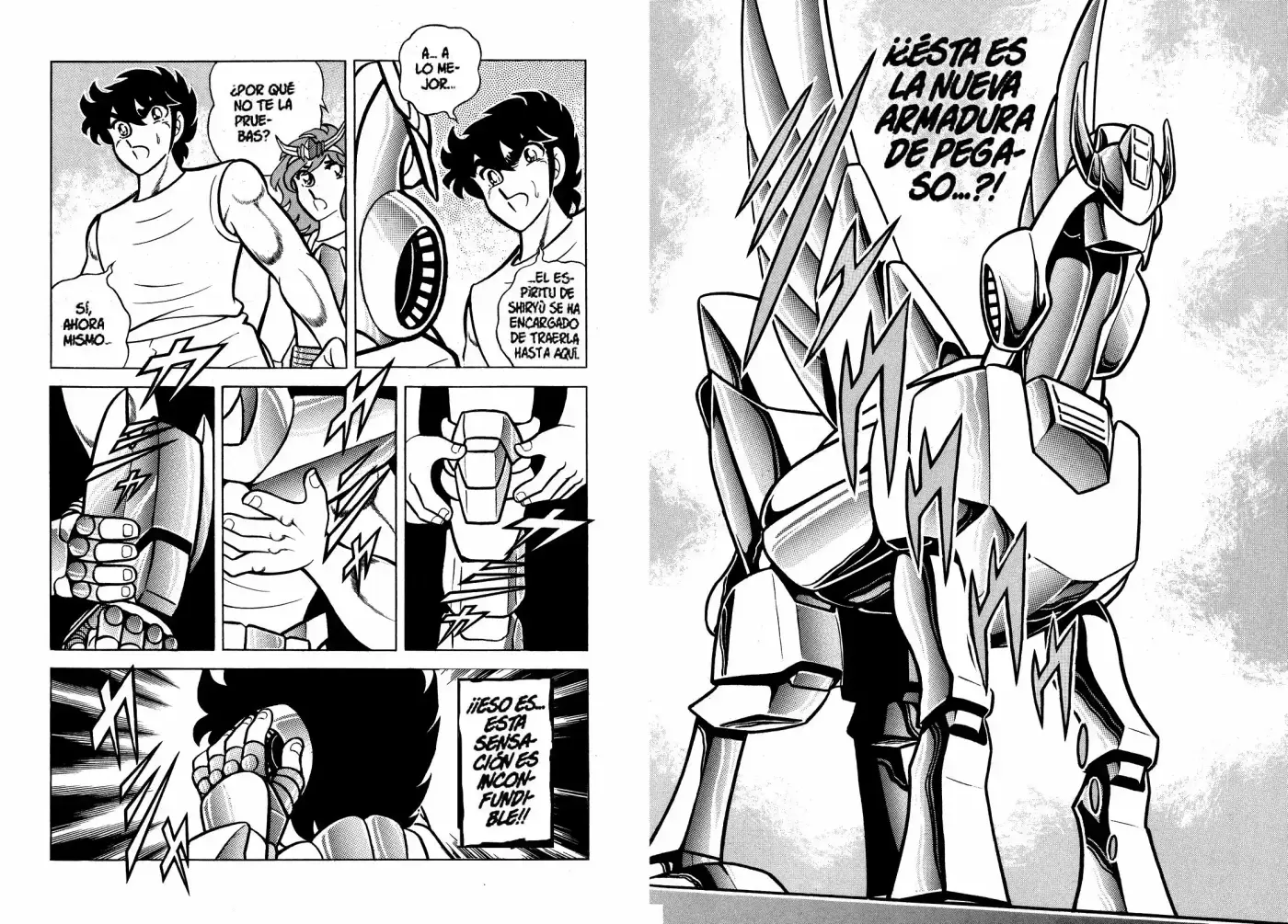Saint Seiya capítulo 12.1 página 13