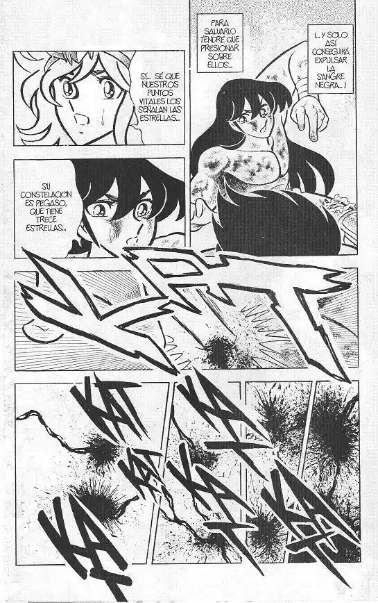 Saint Seiya capítulo 22 página 15