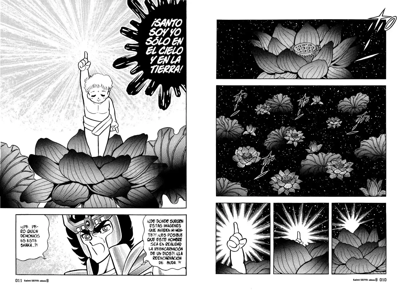 Saint Seiya capítulo 34.5 página 10