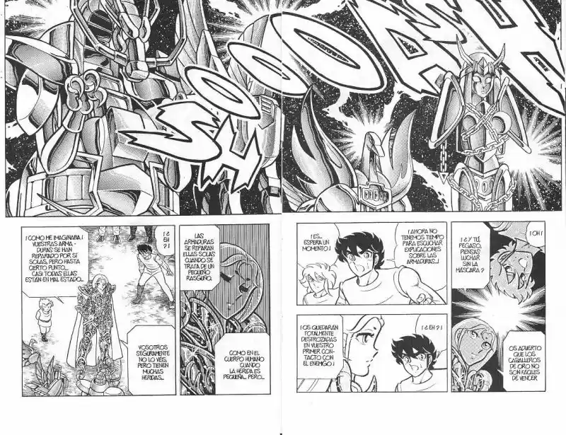 Saint Seiya capítulo 43 página 13