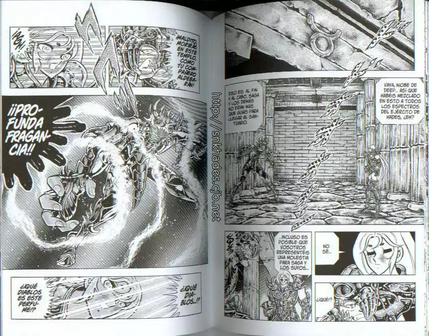 Saint Seiya capítulo 70 página 14