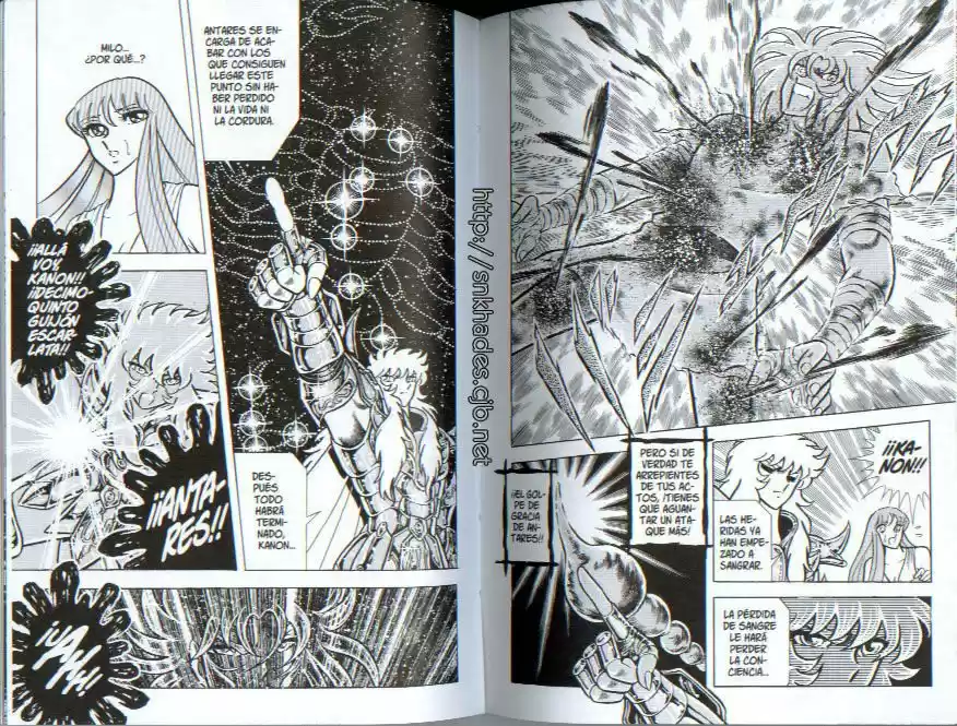 Saint Seiya capítulo 71 página 17