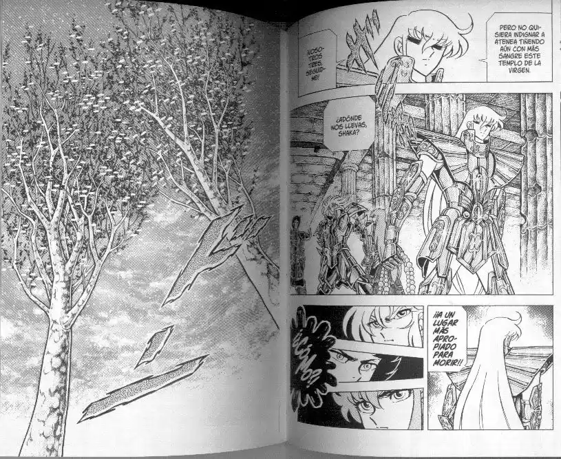 Saint Seiya capítulo 77 página 11