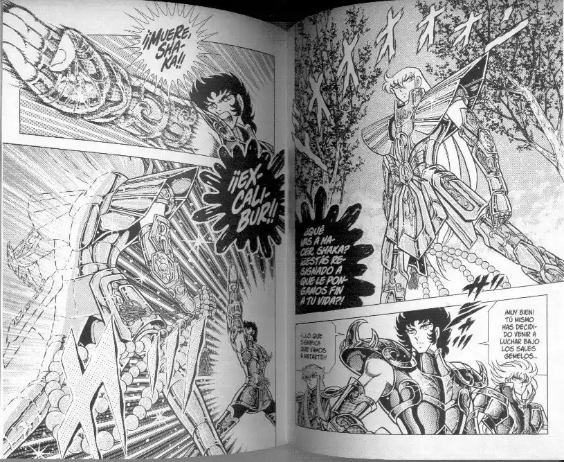 Saint Seiya capítulo 77 página 13