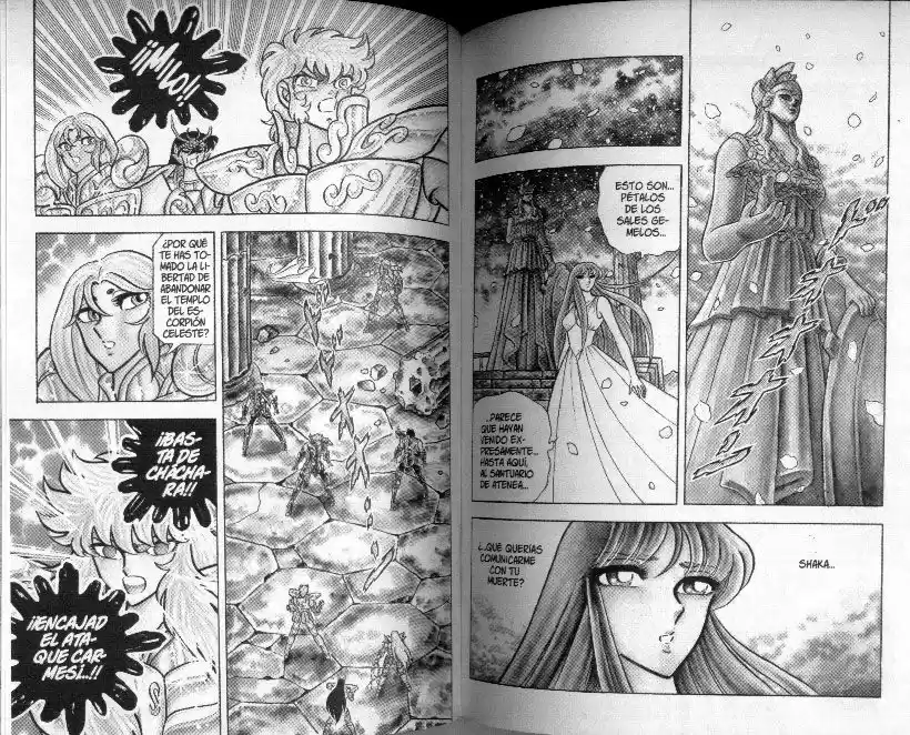 Saint Seiya capítulo 78 página 11