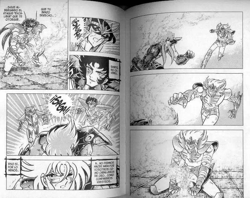 Saint Seiya capítulo 82 página 13
