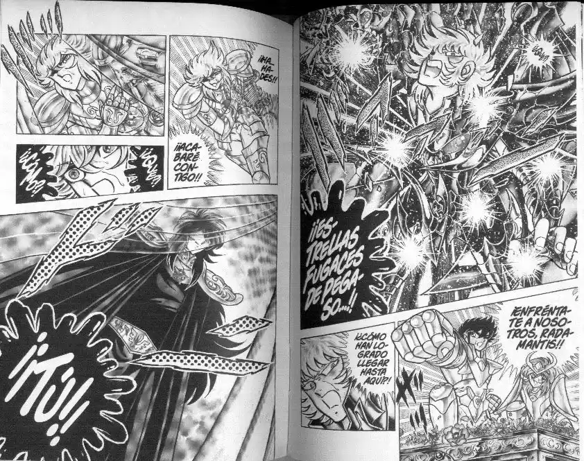 Saint Seiya capítulo 89 página 9