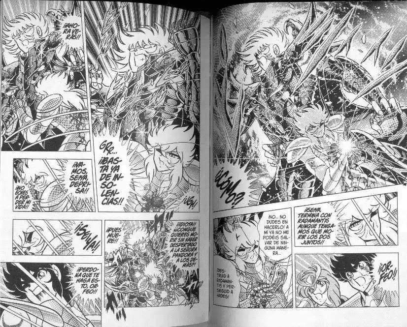 Saint Seiya capítulo 89 página 15