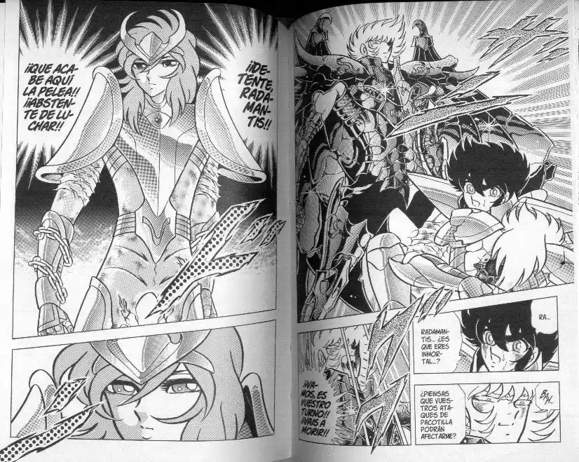 Saint Seiya capítulo 89 página 18
