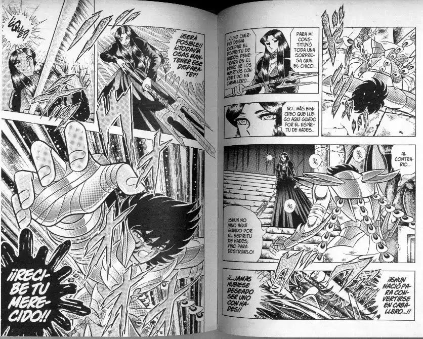 Saint Seiya capítulo 93 página 8