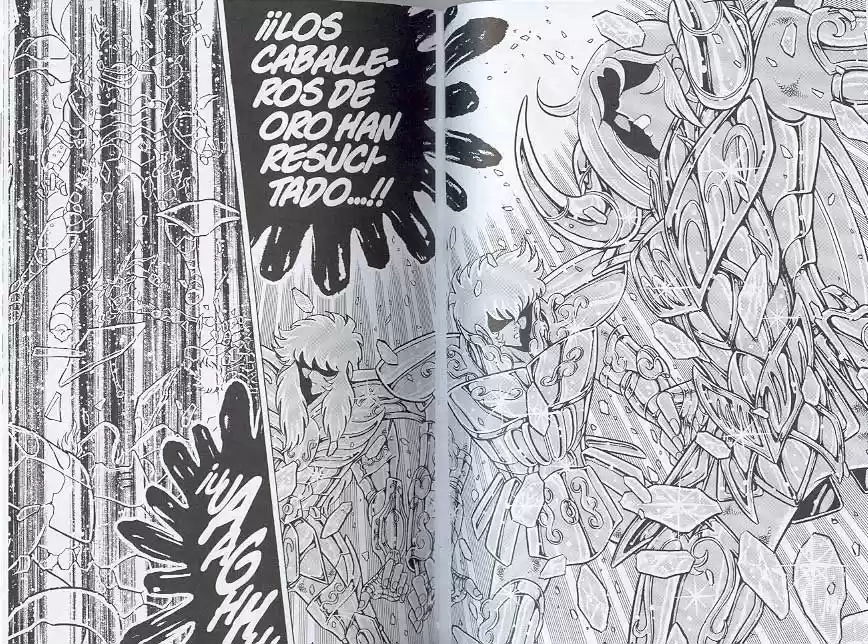 Saint Seiya capítulo 97 página 7